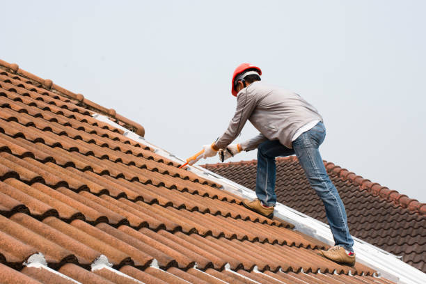 Best Flat Roofing  in Desert Hills, AZ