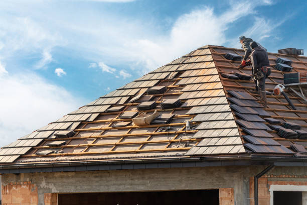 Best Roof Moss and Algae Removal  in Desert Hills, AZ